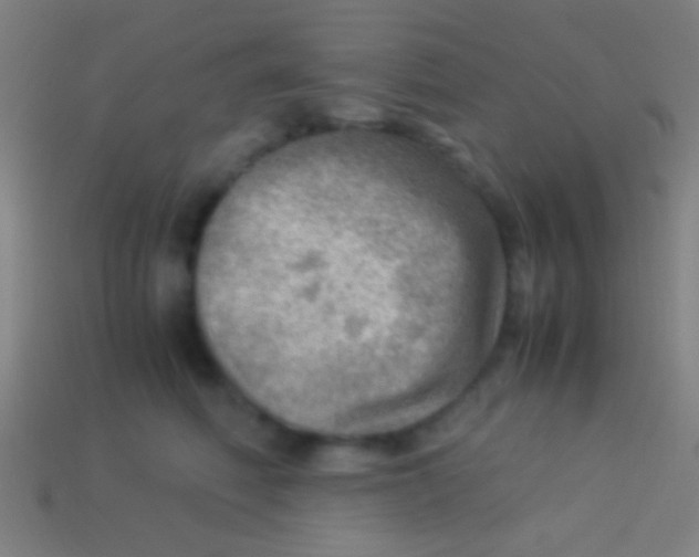 X0000113590614200910161844