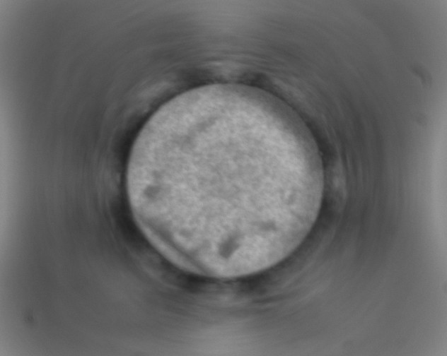 X0000113590615200910161844