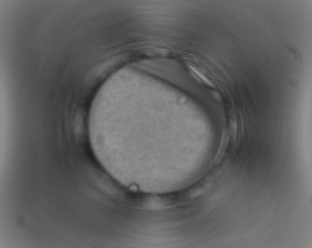 X0000113590616200910161844