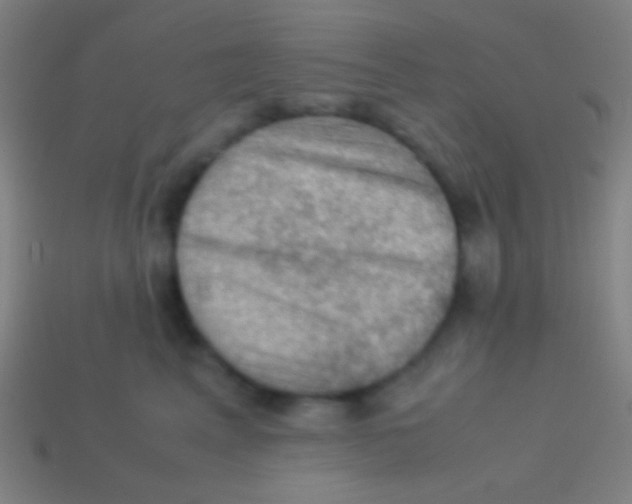 X0000113590617200910161844