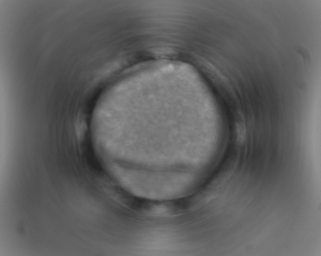X0000113590618200910161844