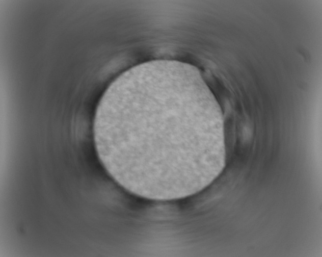 X0000113590619200910161844
