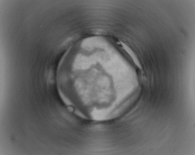 X0000113590620200910161844