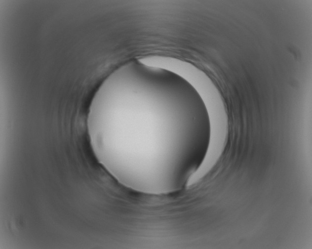X0000113590621200910161844