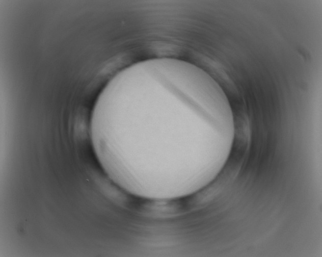 X0000113590622200910161844