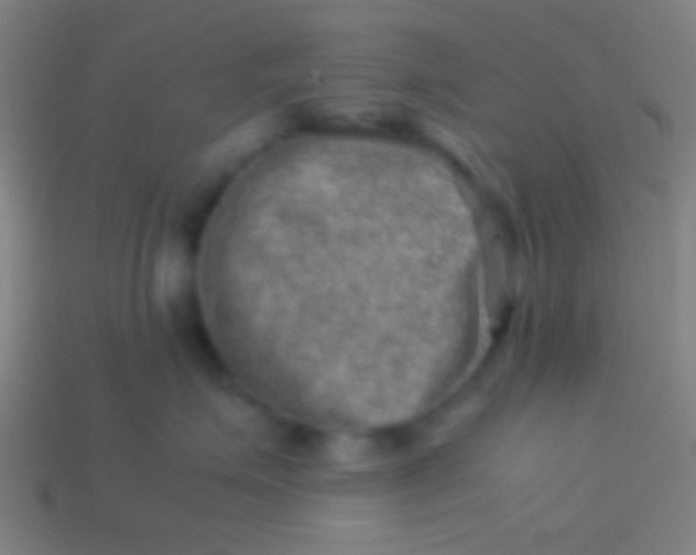 X0000113590623200910161844