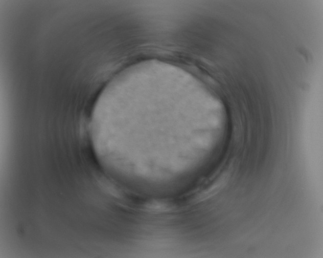 X0000113590624200910161844