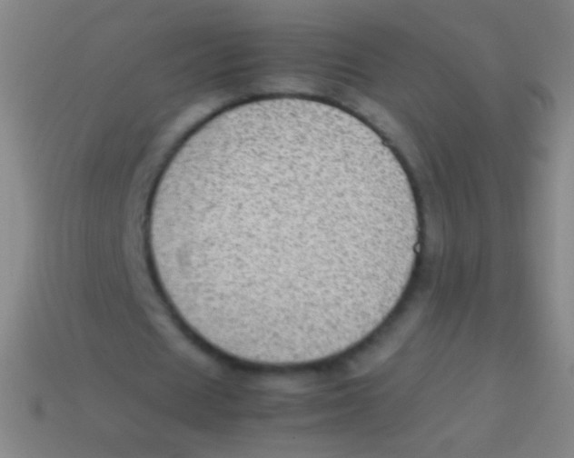 X0000113590625200910161844