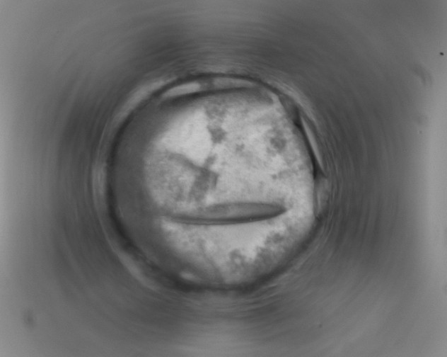 X0000113590626200910161844