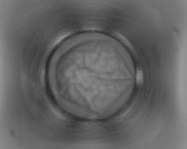 X0000113590627200910161844