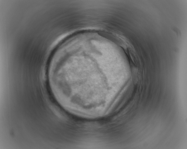 X0000113590628200910161844