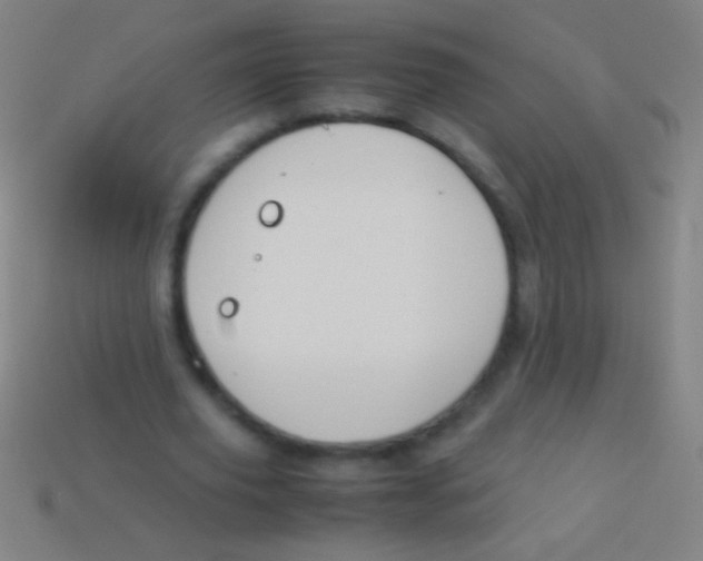 X0000113590629200910161844