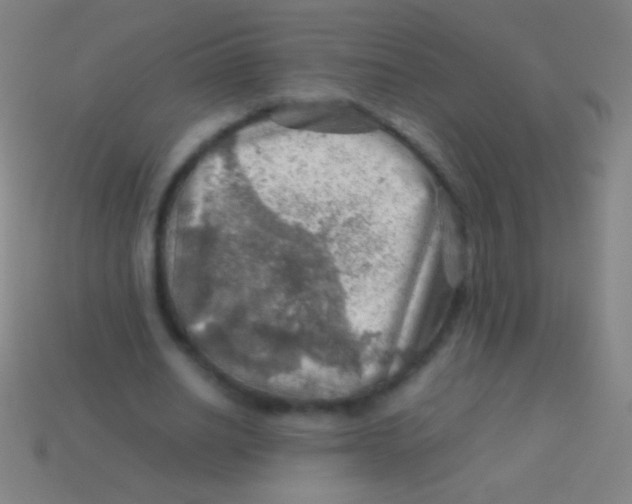 X0000113590630200910161844