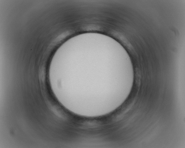 X0000113590631200910161844