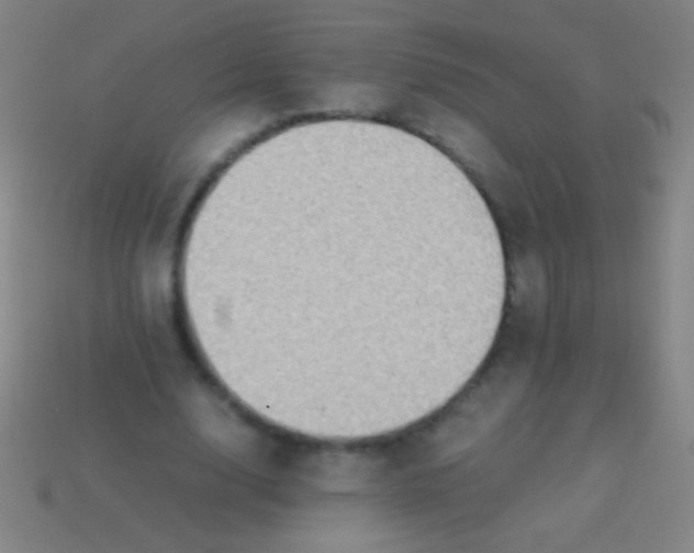 X0000113590632200910161844