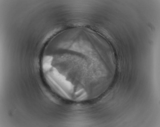 X0000113590634200910161844