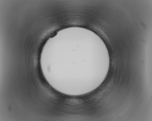 X0000113590635200910161844