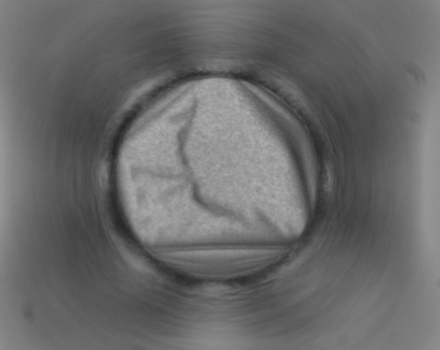 X0000113590636200910161844