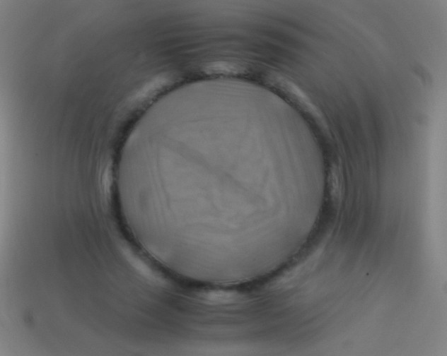 X0000113590637200910161844