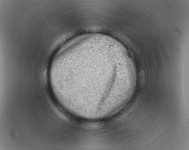 X0000113590638200910161844