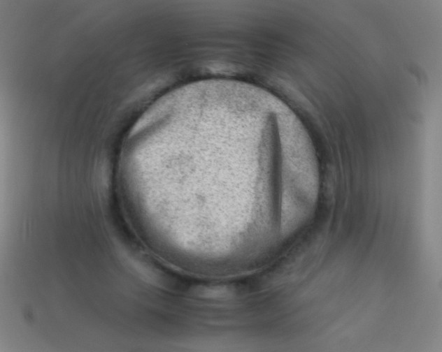 X0000113590639200910161844