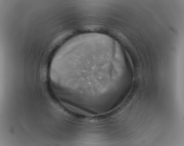 X0000113590640200910161844