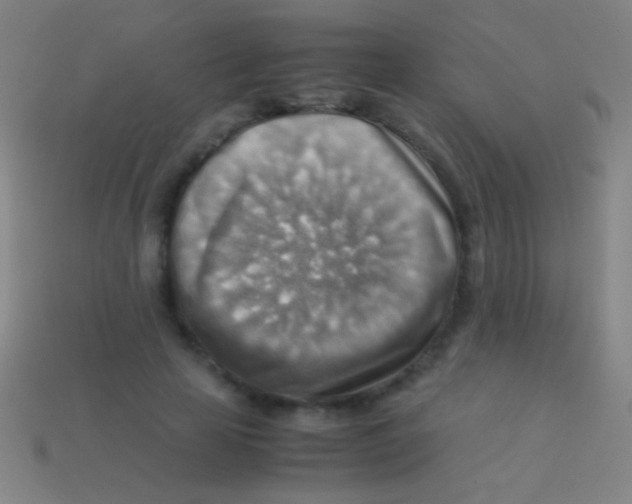 X0000113590641200910161844