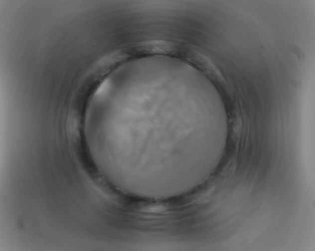 X0000113590643200910161844