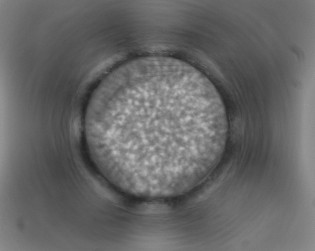 X0000113590644200910161844