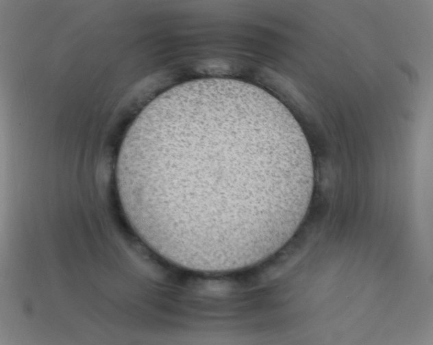 X0000113590645200910161844