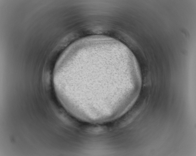 X0000113590646200910161844