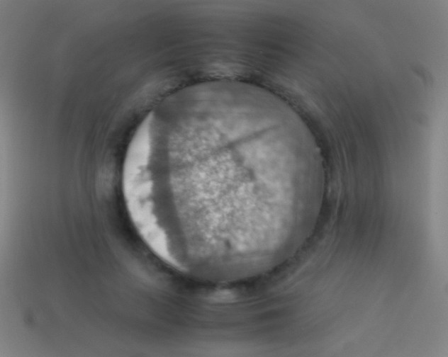 X0000113590647200910161844