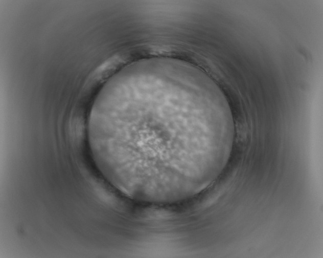 X0000113590648200910161844