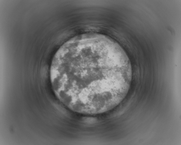 X0000113590649200910161844