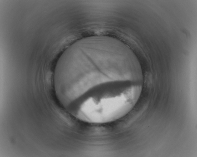 X0000113590650200910161844