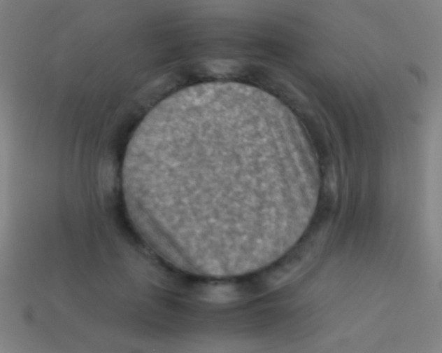 X0000113590651200910161844
