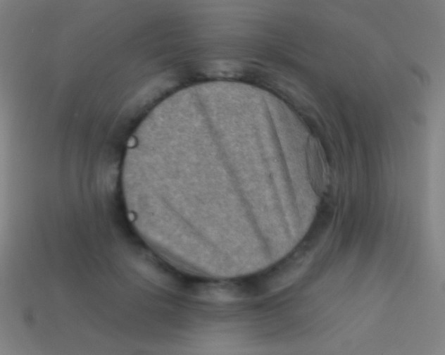 X0000113590652200910161844