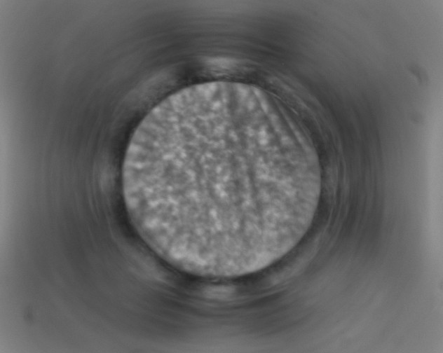 X0000113590653200910161844