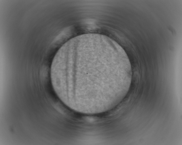 X0000113590654200910161844