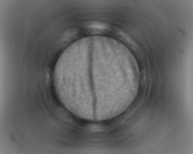X0000113590655200910161844
