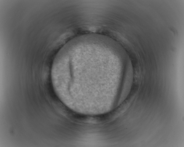 X0000113590656200910161844