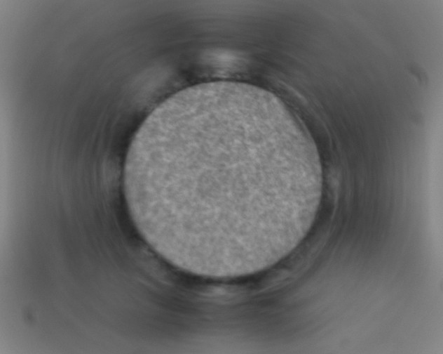 X0000113590657200910161844