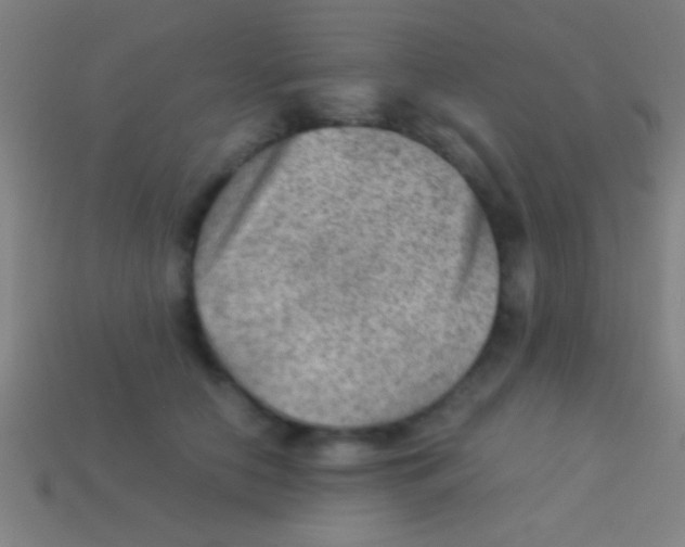 X0000113590658200910161844