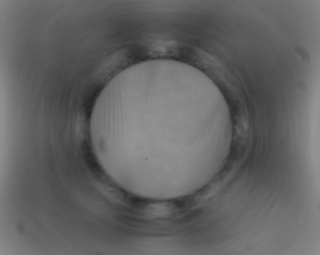 X0000113590659200910161844