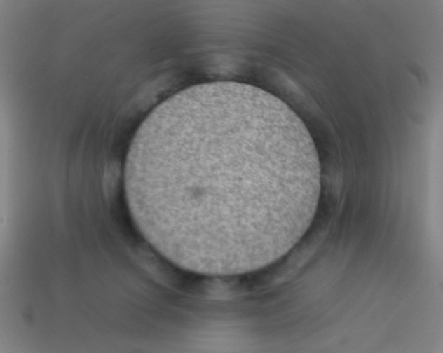 X0000113590660200910161844