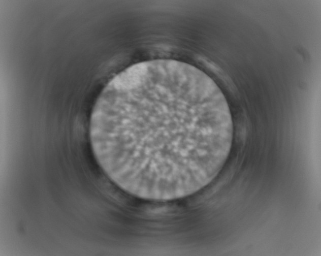 X0000113590661200910161844