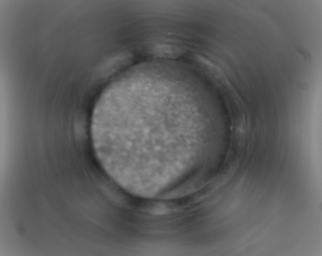 X0000113590663200910161844