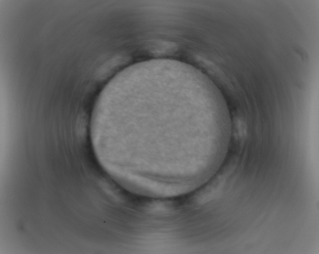 X0000113590664200910161844