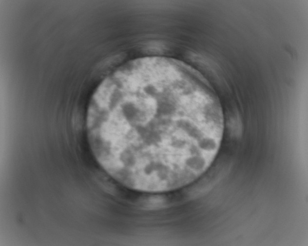 X0000113590665200910161844