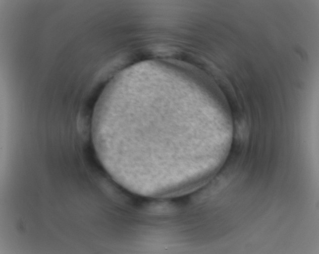 X0000113590666200910161844